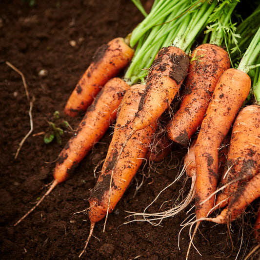 Carrots - the secret weapon for clear skin!